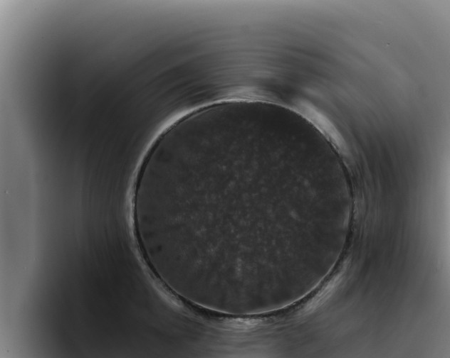 X0000094960854200712061310