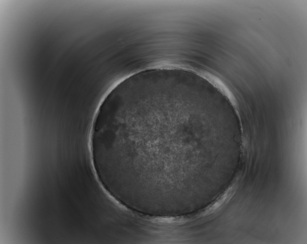 X0000094960855200712061310