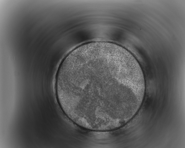 X0000094960856200712061310