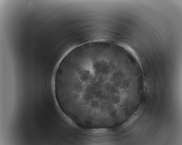 X0000094960859200712061310