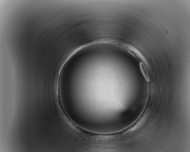 X0000094960860200712061310