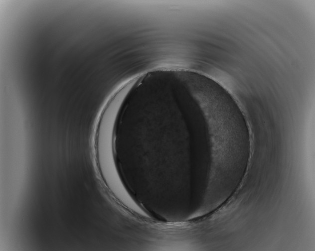 X0000094960864200712061310