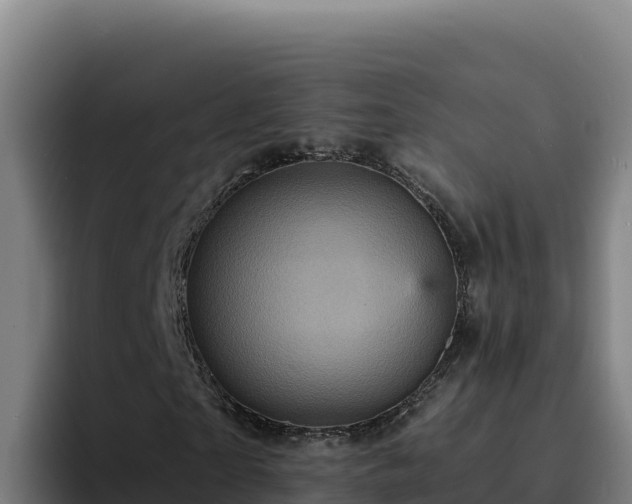 X0000094960865200712061309