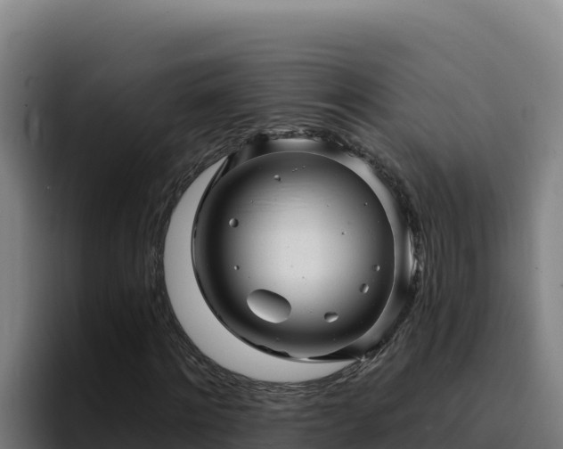 X0000094960868200712061309