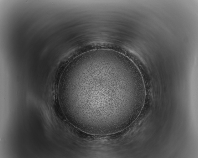 X0000094960870200712061309