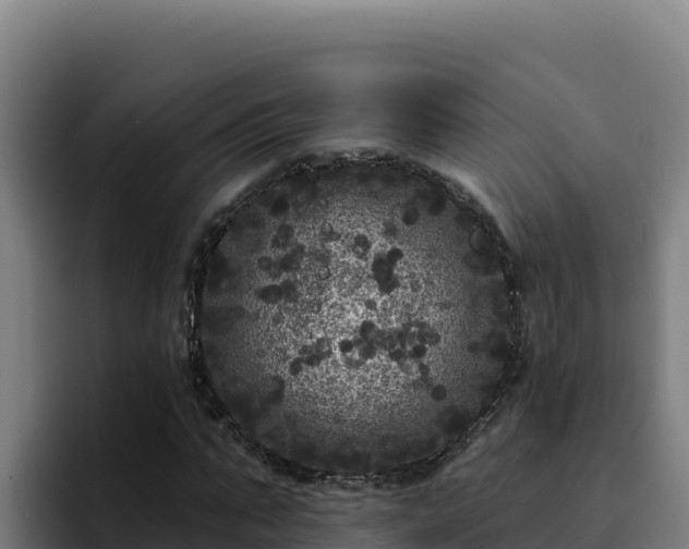 X0000094960871200712061309