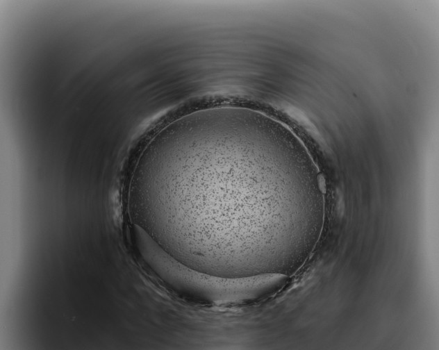 X0000094960872200712061309