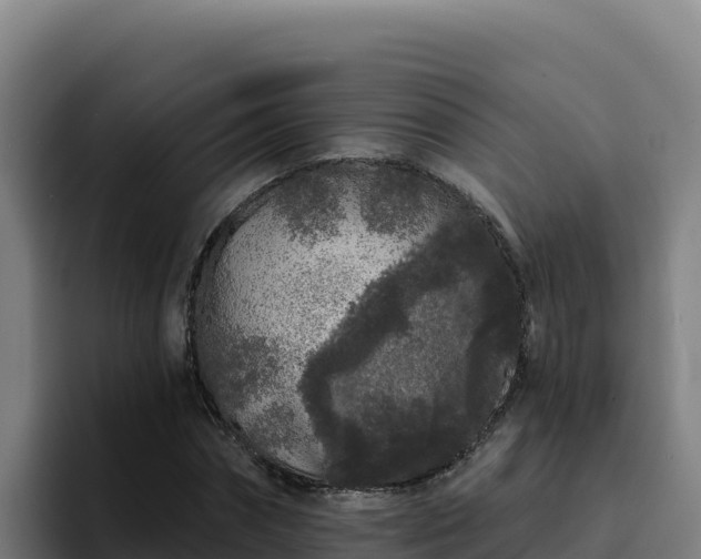 X0000094960874200712061309