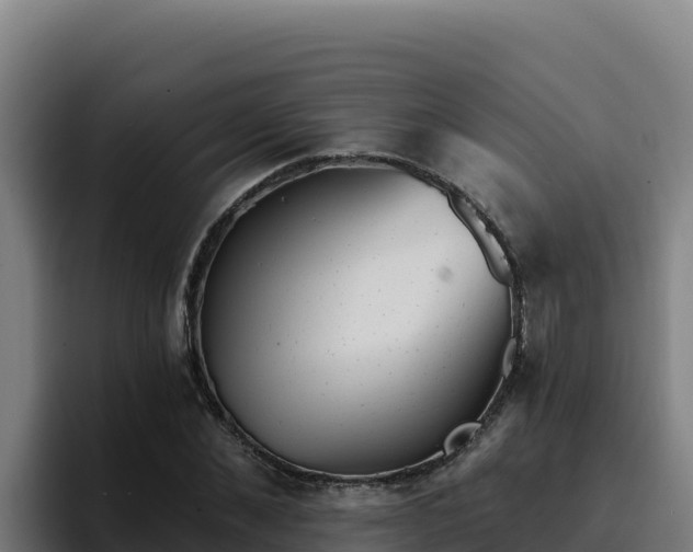 X0000094960876200712061309