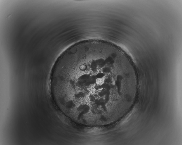 X0000094960879200712061309