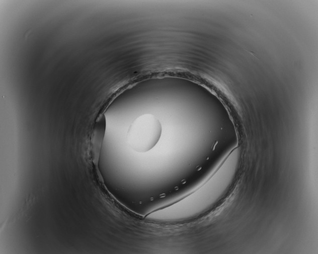 X0000094960881200712061309