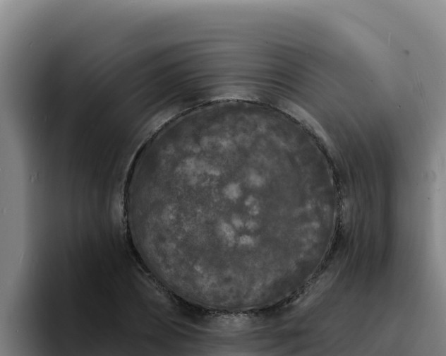 X0000094960882200712061309