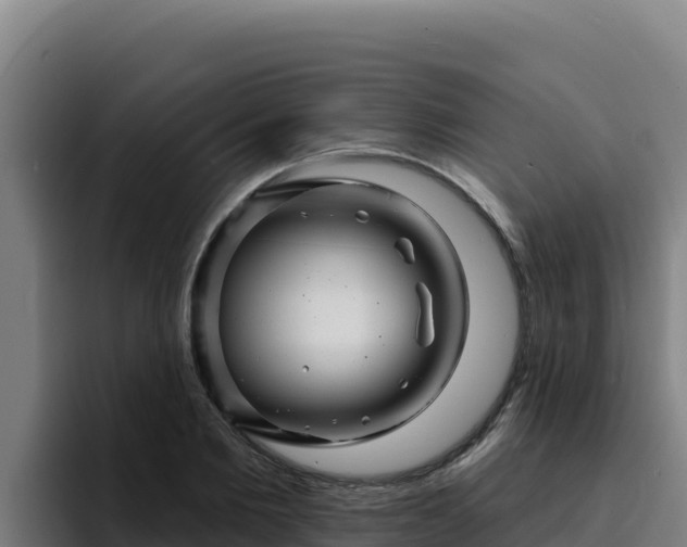 X0000094960885200712061309