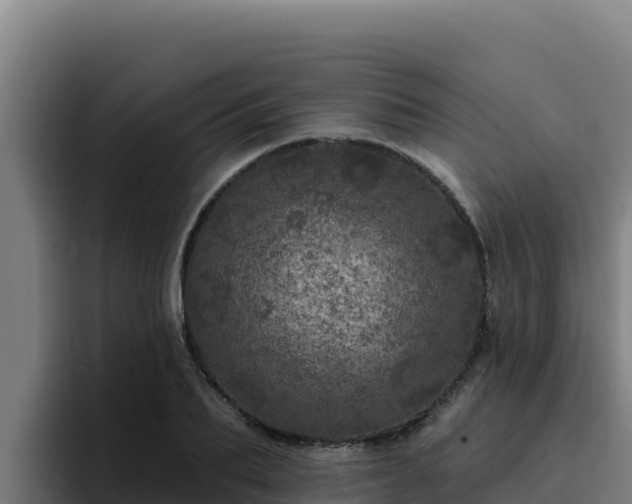 X0000094960887200712061309