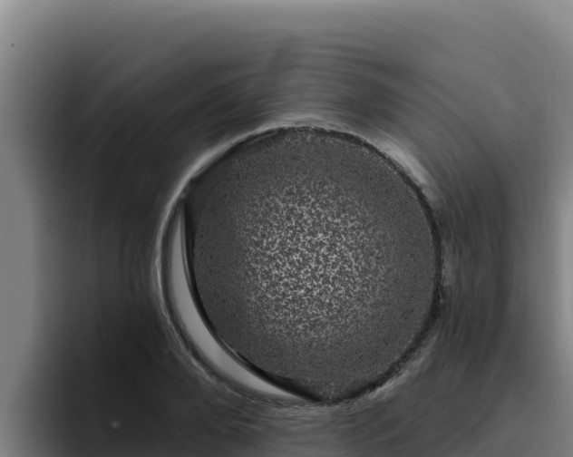 X0000094960888200712061309