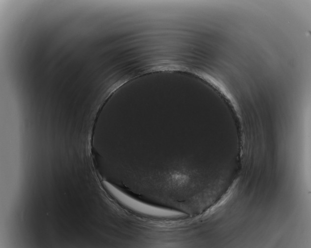 X0000094960889200712061309