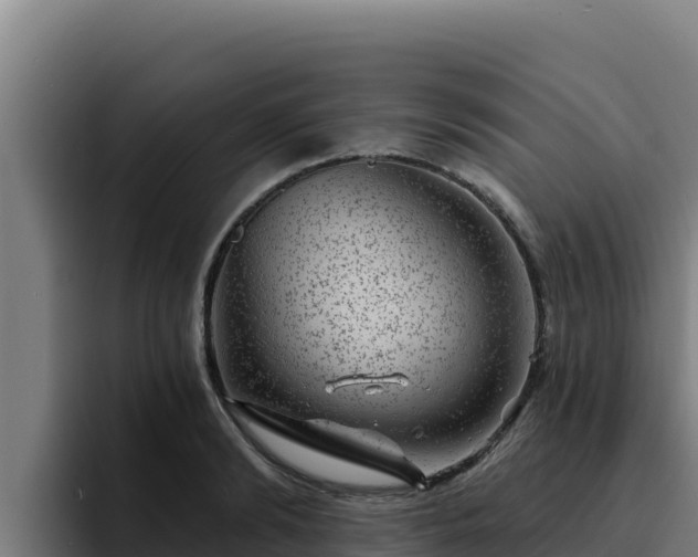 X0000094960894200712061309