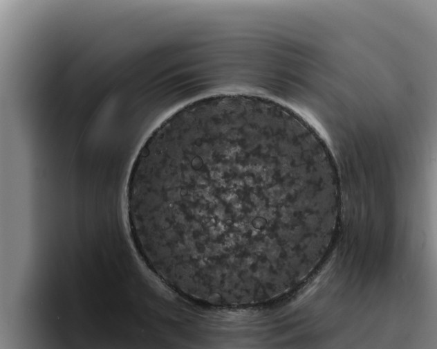 X0000094960895200712061309