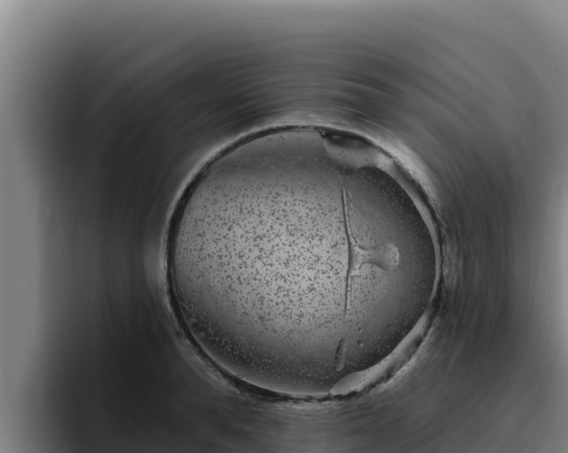 X0000094960896200712061309