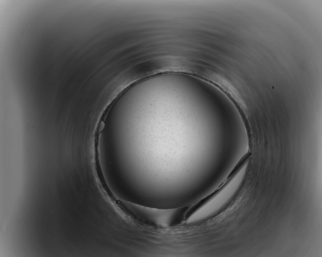 X0000094960898200712061309