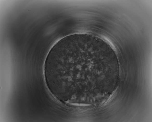 X0000094960899200712061309