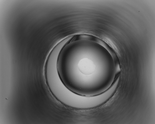 X0000094960900200712061309