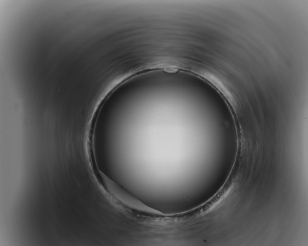 X0000094960901200712061309