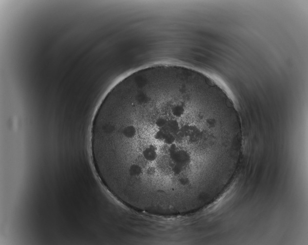 X0000094960903200712061309