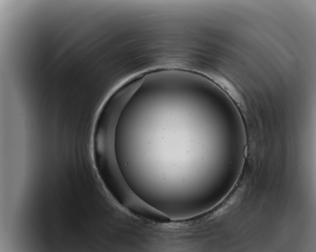 X0000094960904200712061309