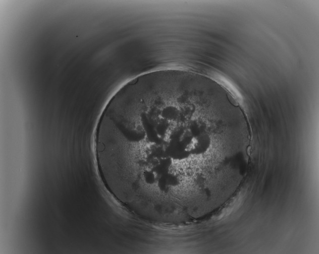 X0000094960907200712061309