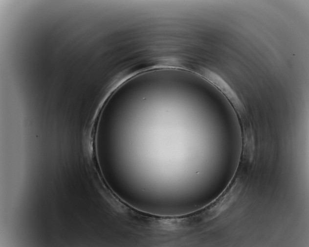 X0000094960908200712061309