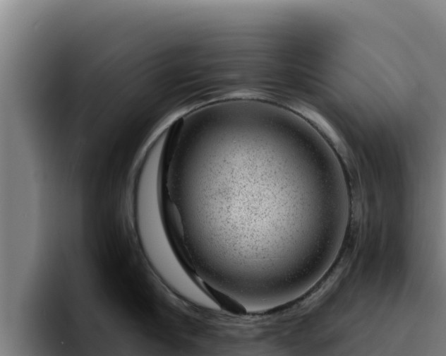 X0000094960910200712061309