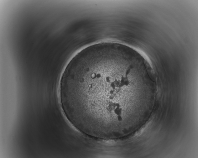 X0000094960911200712061309