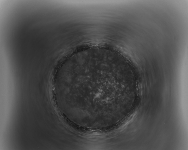 X0000094960913200712061308