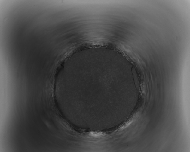 X0000094960916200712061308