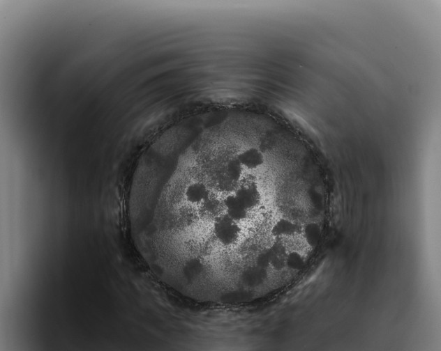 X0000094960917200712061308