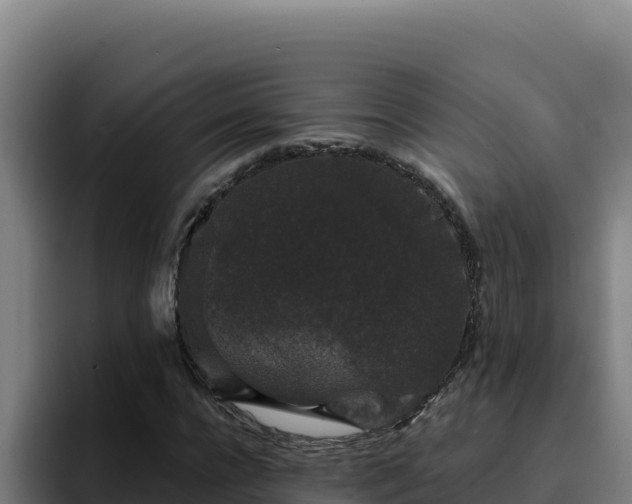 X0000094960920200712061308