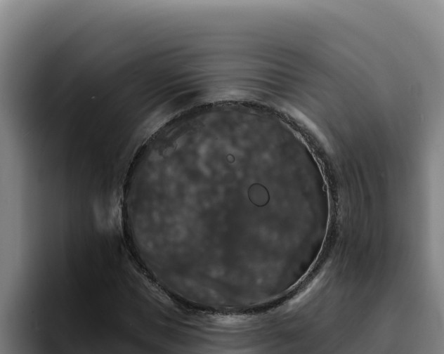 X0000094960921200712061308