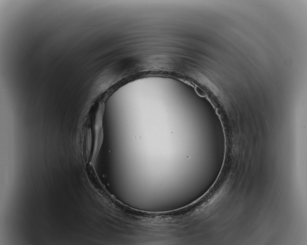 X0000094960922200712061308