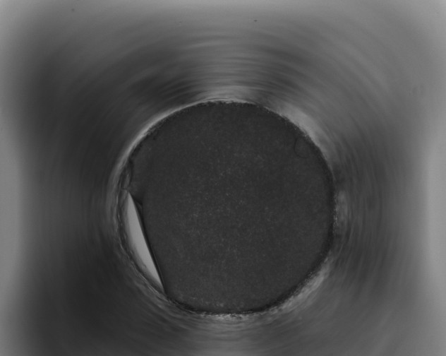 X0000094960923200712061308