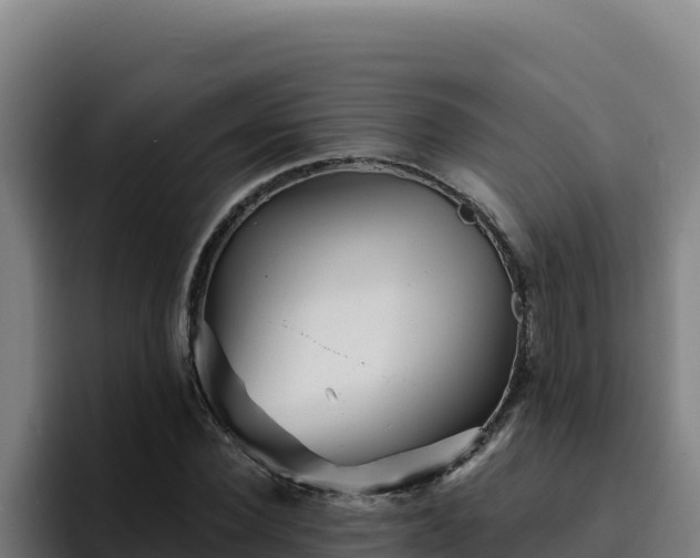 X0000094960924200712061308