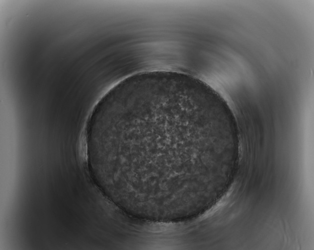 X0000094960925200712061308