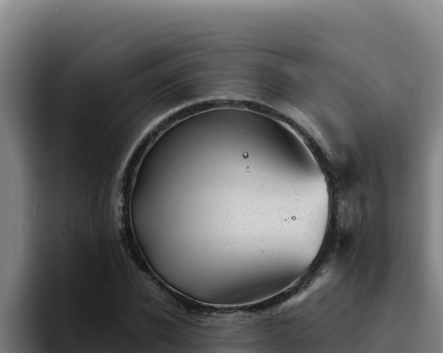 X0000094960926200712061308