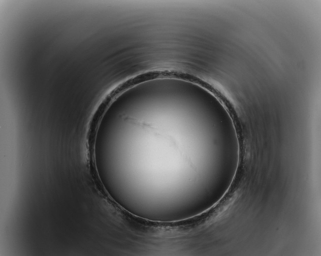 X0000094960927200712061308