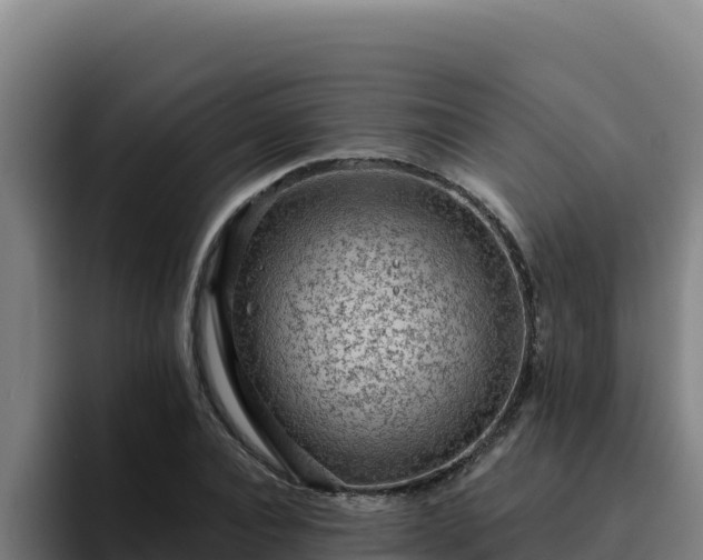 X0000094960928200712061308