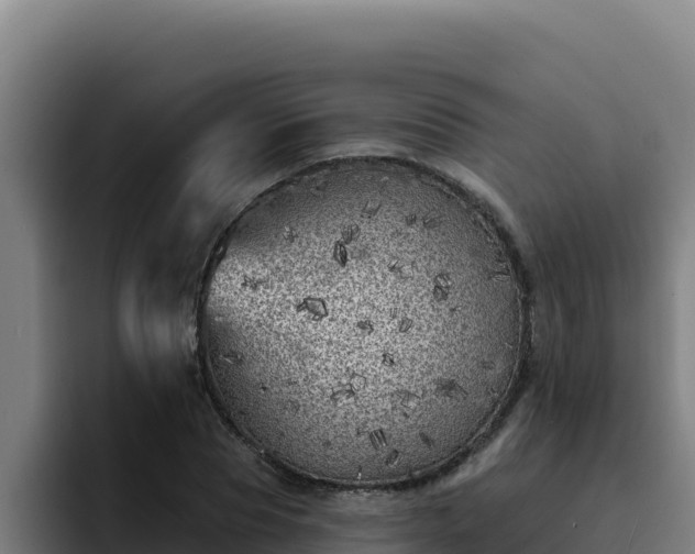 X0000094960929200712061308
