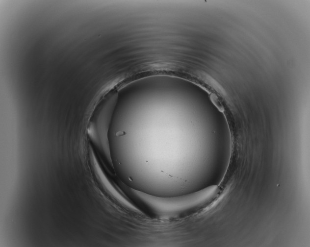 X0000094960930200712061308