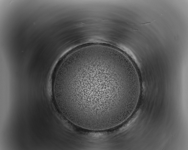 X0000094960931200712061308