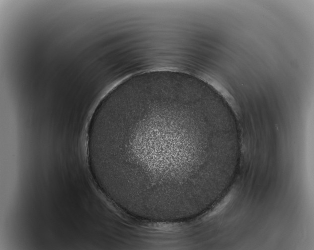 X0000094960933200712061309