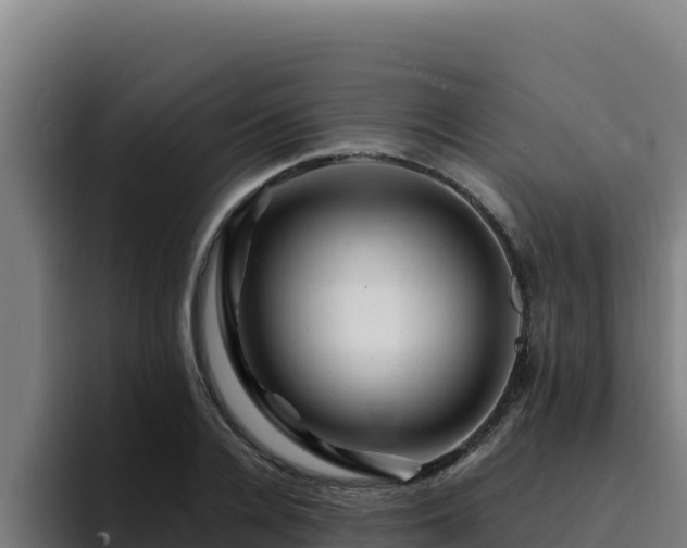 X0000094960936200712061309